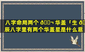 八字命局两个 🐬 华盖「生 🐺 辰八字里有两个华盖星是什么意思」